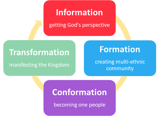 the 4 stages of the diversity rubric: information, formation, conformation, transformation
